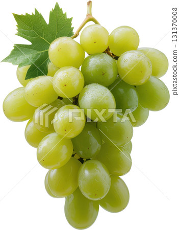 Bunch of fresh green grapes with water droplets 131370008