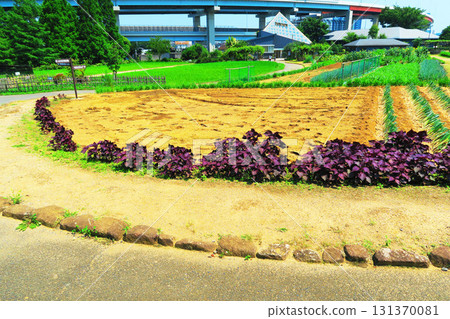 都市農業園區各場景 都市農業園區各場景 131370081