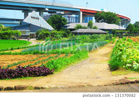 都市農業公園的各種場景（田野、人與自然共存中心） 131370082