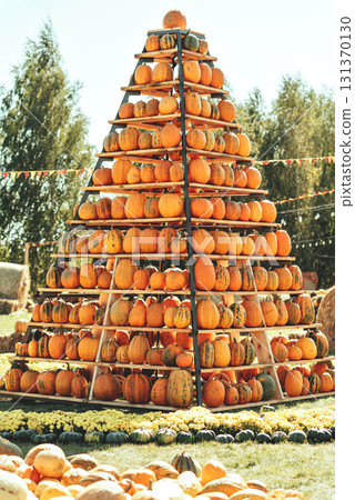 Autumn Harvest Pumpkin Arrangement at Outdoor Event. Large pyramid structure filled with orange pumpkins on wooden shelves at autumn harvest festival outdoors 131370130