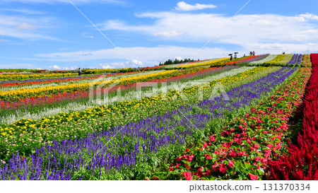 宮城縣花山和克雷花園風景日 宮城縣花山和克雷花園風景日 131370334