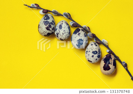Composition of quail eggs and pussy willow twigs on a yellow background. Easter concept Composition of quail eggs and pussy willow twigs on a yellow background. Easter concept 131370748