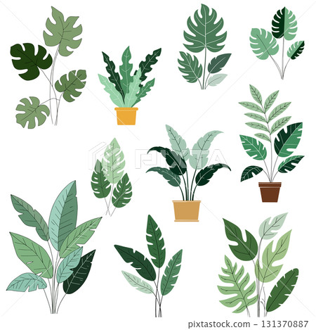 Assorted Green Leaf Plant Illustrations 131370887