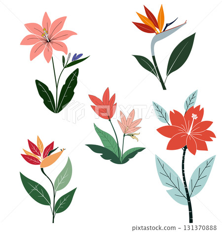 Floral Illustration with Tropical Flowers 131370888