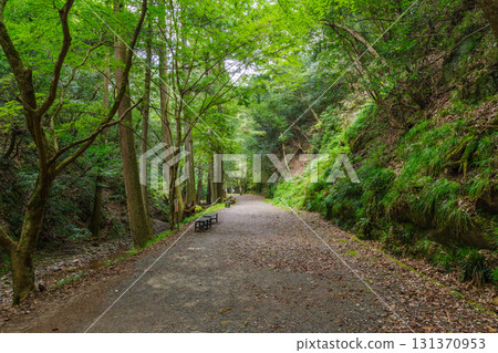 阿特拉七瀑散步道（愛知縣新城市） 131370953