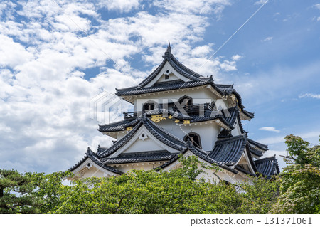 彥根城堡塔 彥根城堡塔 131371061