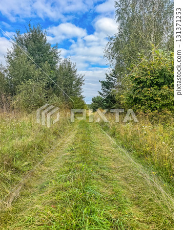 Scenic dirt path in the countryside surrounded by tall grass, trees, and cloudy blue sky. Nature, rural lifestyle, outdoor relaxation, and travel concept. High quality photo Scenic dirt path in the countryside surrounded by tall grass, trees, and cloudy blue sky. Nature, rural lifestyle, outdoor relaxation, and travel concept. High quality photo 131371253