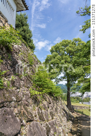 View of Hikone Castle 131371278