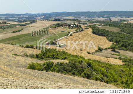 Tuscany rolling hills landscape with farm and hay bales, Asciano Tuscany rolling hills landscape with farm and hay bales, Asciano 131371289
