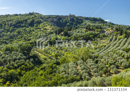 Volterra hilltop town overlooking Etruscan countryside with olive groves Volterra hilltop town overlooking Etruscan countryside with olive groves 131371334