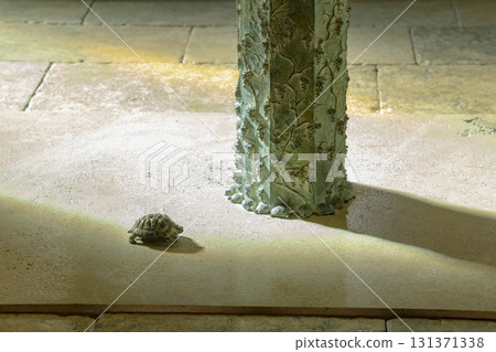 Bronze turtle statue on ancient pavement in Massa Marittima, Italy Bronze turtle statue on ancient pavement in Massa Marittima, Italy 131371338