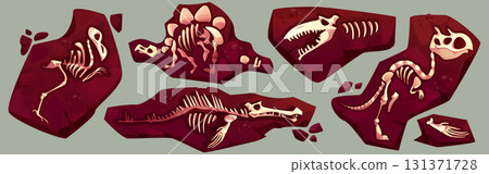 Dinosaur fossil skeleton fragments in soil Dinosaur fossil skeleton fragments in soil 131371728