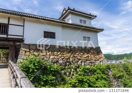 View of Hikone Castle 131371846