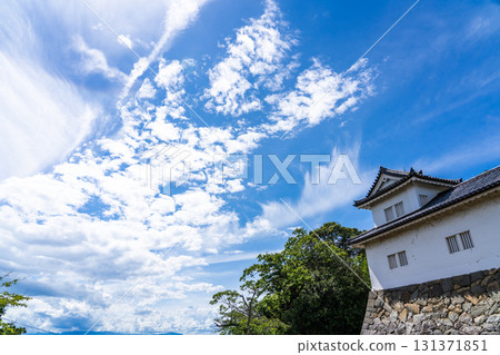 View of Hikone Castle View of Hikone Castle 131371851