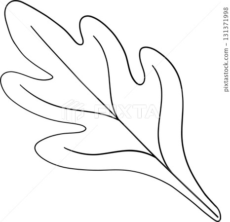 Maple leaf autumn harvest in outline style for thanksgiving holiday celebration Maple leaf autumn harvest in outline style for thanksgiving holiday celebration 131371998