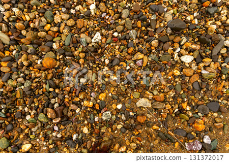 Colorful wet pebbles scattered across sandy coastal shore 131372017