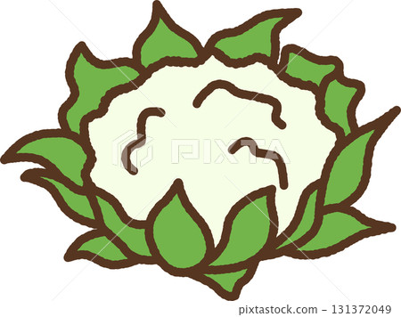Hand-drawn single icon illustration Vegetables Cauliflower Hand-drawn single icon illustration Vegetables Cauliflower 131372049