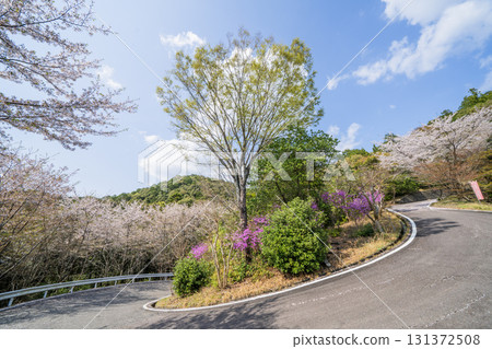 春日龍法寺週邊的風景 春日龍法寺週邊的風景 131372508
