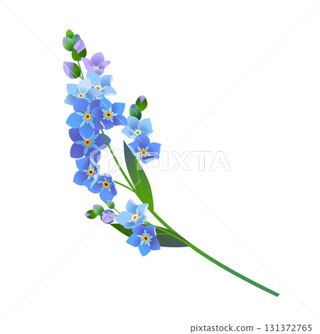 Vintage vector floral element. A branch of blooming forget-me-nots. Spring flowers with blue petals. Clipart for wedding designs, Mother's Day, and Valentine's Day greeting cards. 131372765