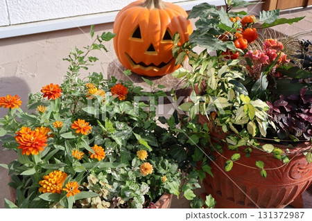Halloween-themed plantings and pots Halloween-themed plantings and pots 131372987