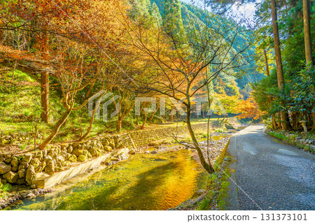 岐阜縣八百津町:通往禦峰瀑布的道路兩旁有一條河流和秋葉,據說傳奇劍客宮本武藏在秋天曾在這裡修行。 岐阜縣八百津町:通往禦峰瀑布的道路兩旁有一條河流和秋葉,據說傳奇劍客宮本武藏在秋天曾在這裡修行。 131373101
