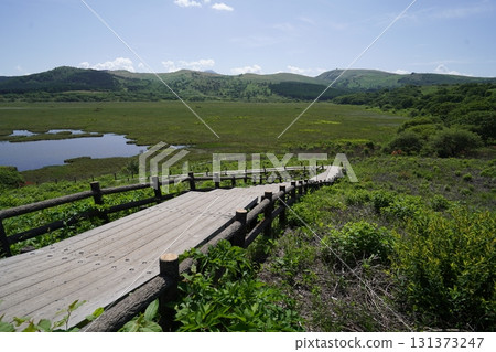 從停車場通往屋島濕原的登山步道上眺望屋島濕原,背景是車山。 2025年6月19日 從停車場通往屋島濕原的登山步道上眺望屋島濕原,背景是車山。 2025年6月19日 131373247