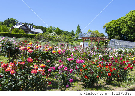 Iwaki City Flower Center 131373383