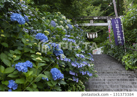 岩津分神社 岩津分神社 131373384