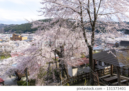 Takada Sakura 131373401