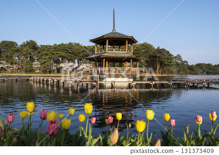 矢吹町禦池公園 矢吹町禦池公園 131373409