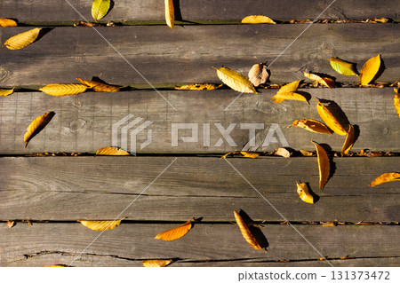 Dry autumn leaves scattered on old wooden deck. Seasonal background showing natural textures of weathered wood and fallen foliage, symbolizing autumn, change, and passage of time. 131373472
