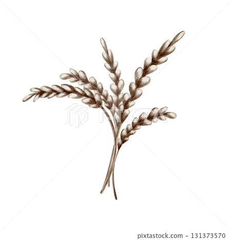 Playful bouquet wheat stalks with brown grains,crafted with soft watercolor washes and textured colored pencils.For harvest themes,childrens books,rustic designs and stickers 131373570