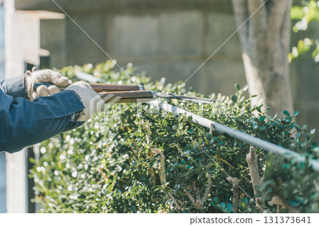 pruning, master gardener, male 131373641