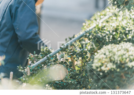 pruning, gardener, male 131373647