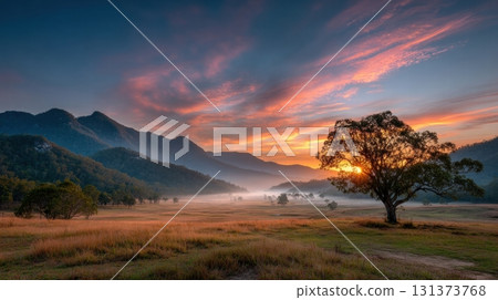 Sunset over a golden field Sunset over a golden field 131373768