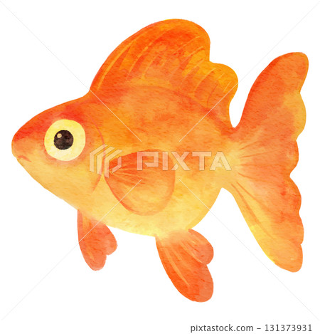 可愛的金魚插畫水彩 可愛的金魚插畫水彩 131373931