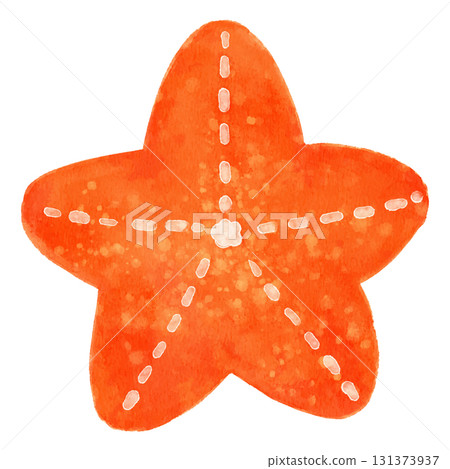 Cute starfish illustration watercolor 131373937