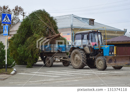 Dismantling the Christmas tree 131374118