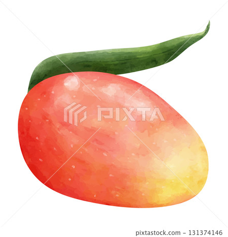 芒果水彩插圖 芒果水彩插圖 131374146