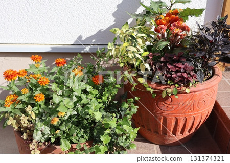 Autumn flowers and pots Autumn flowers and pots 131374321