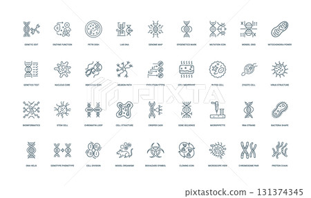 collection biology genetics icons cellular processes structures genetic manipulations linear style 131374345