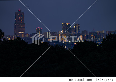 Hamamatsu Cityscape (Shizuoka Prefecture) 131374575