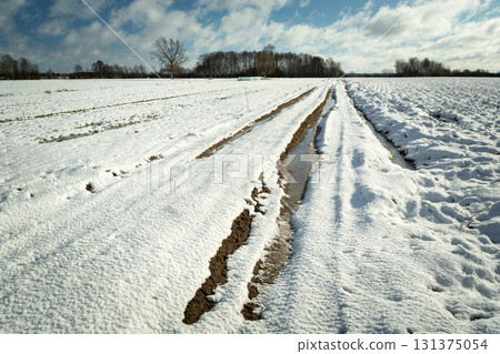 View of the dirt road and snow-covered fields View of the dirt road and snow-covered fields 131375054