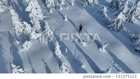 Aerial view of ski touring man crossing winter spruce forest, fresh snow. Clear sunny day, winter sport activity. Aerial view of ski touring man crossing winter spruce forest, fresh snow. Clear sunny day, winter sport activity. 131375123