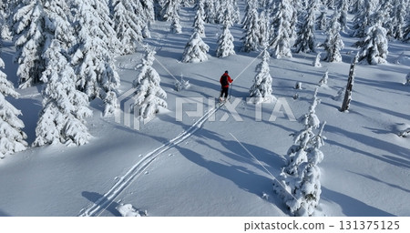 Aerial view of ski touring man crossing winter spruce forest, fresh snow. Clear sunny day, winter sport activity. Aerial view of ski touring man crossing winter spruce forest, fresh snow. Clear sunny day, winter sport activity. 131375125