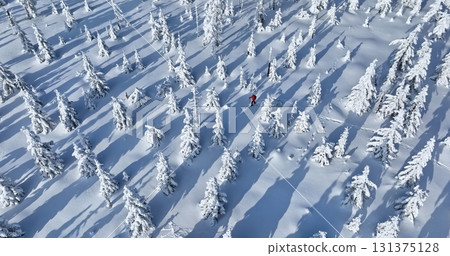 Aerial view of ski touring man crossing winter spruce forest, fresh snow. Clear sunny day, winter sport activity. Aerial view of ski touring man crossing winter spruce forest, fresh snow. Clear sunny day, winter sport activity. 131375128