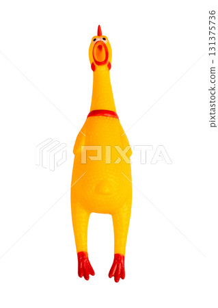 rubber screaming chicken toy for dogs isolated on white background. Bright yellow chicken toy doll 131375736