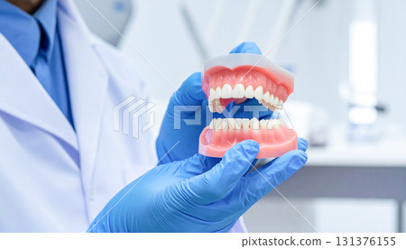 Tooth model dentist dentist 131376155