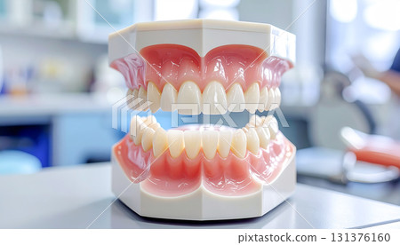Tooth model dentist dentist 131376160