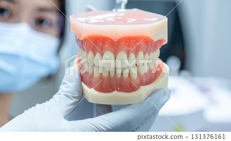 牙齒模型牙醫牙醫 131376161